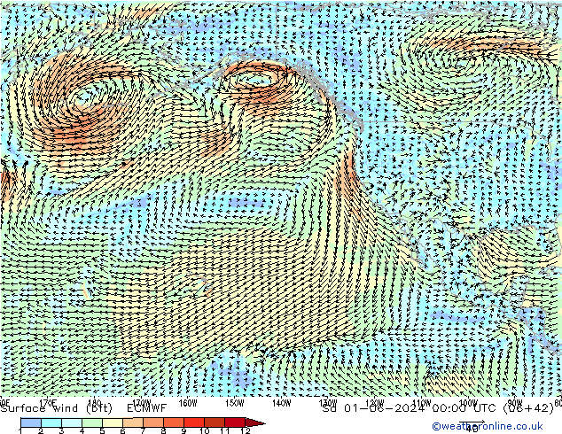Surface wind (bft) ECMWF Sa 01.06.2024 00 UTC