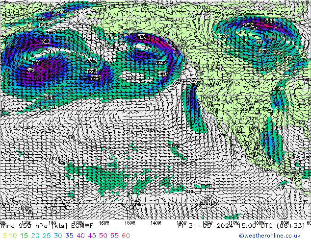 Wind 950 hPa ECMWF Fr 31.05.2024 15 UTC