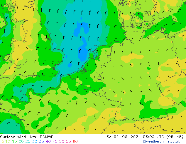 Bodenwind ECMWF Sa 01.06.2024 06 UTC