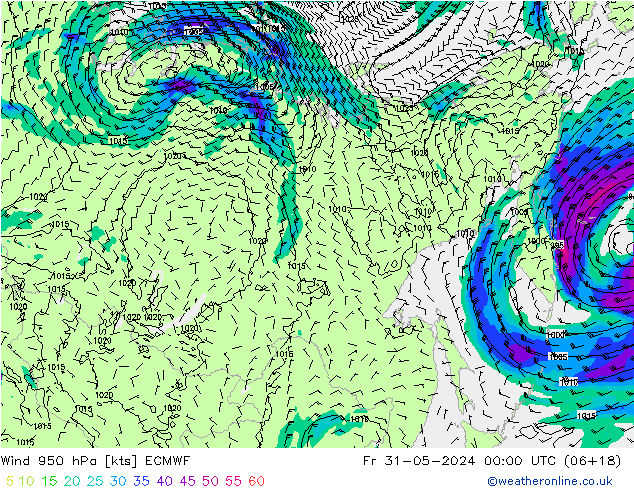 Wind 950 hPa ECMWF Fr 31.05.2024 00 UTC