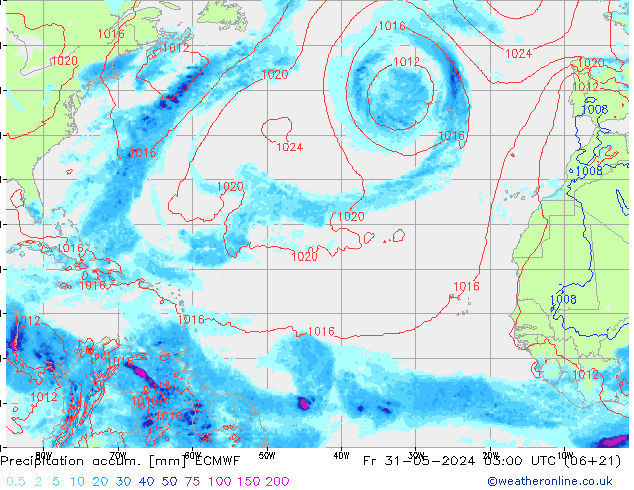 Toplam Yağış ECMWF Cu 31.05.2024 03 UTC