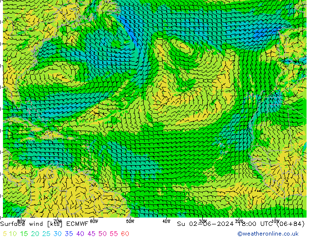  10 m ECMWF  02.06.2024 18 UTC