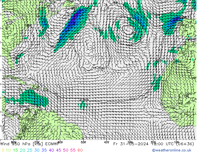 Wind 950 hPa ECMWF Pá 31.05.2024 18 UTC