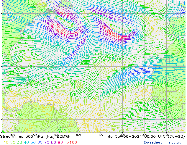 ветер 300 гПа ECMWF пн 03.06.2024 00 UTC