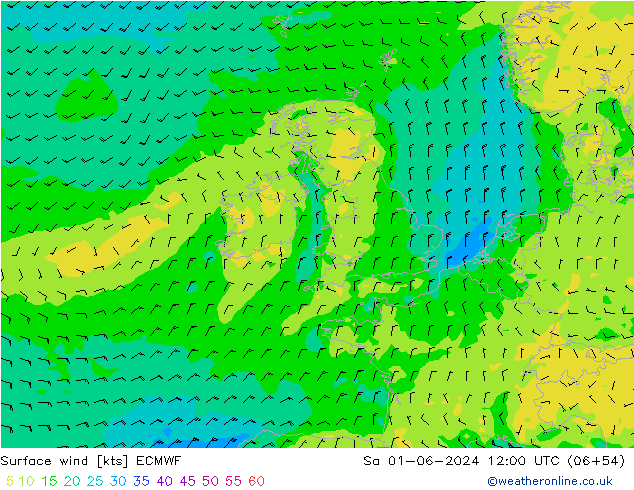 Surface wind ECMWF Sa 01.06.2024 12 UTC