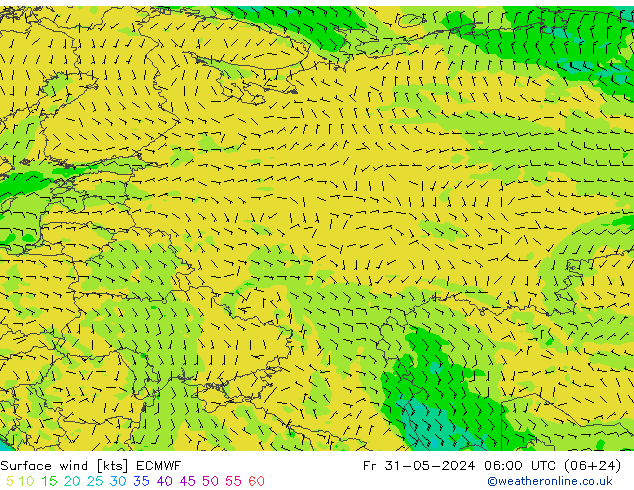 Surface wind ECMWF Pá 31.05.2024 06 UTC