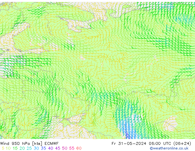  Cu 31.05.2024 06 UTC