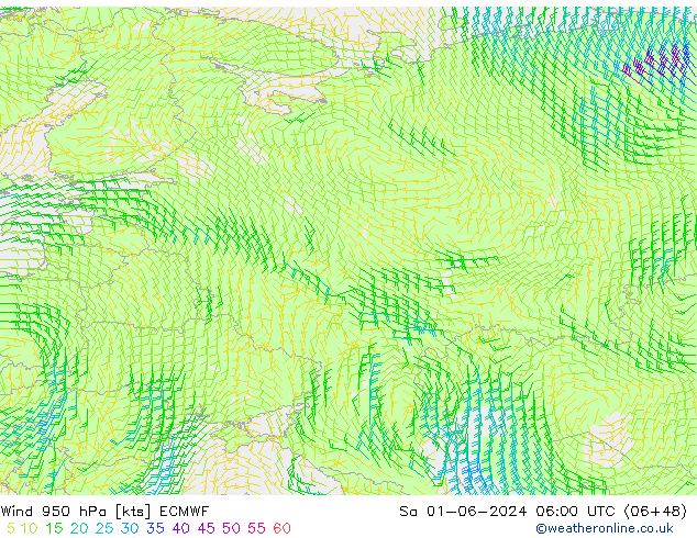Wind 950 hPa ECMWF za 01.06.2024 06 UTC