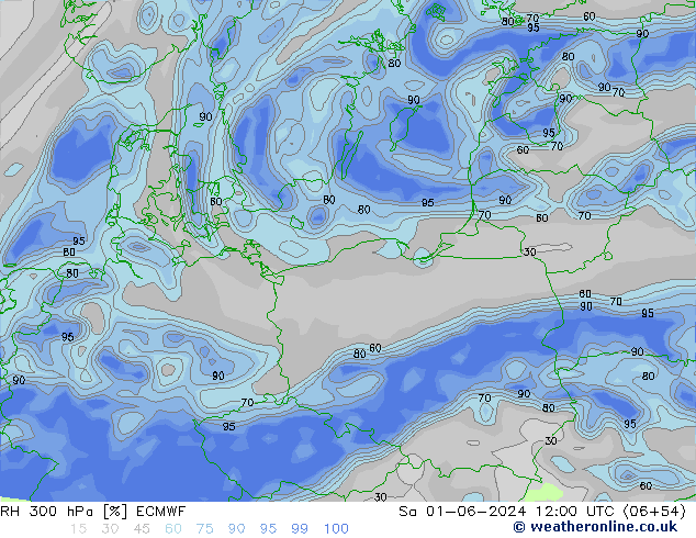Humidité rel. 300 hPa ECMWF sam 01.06.2024 12 UTC
