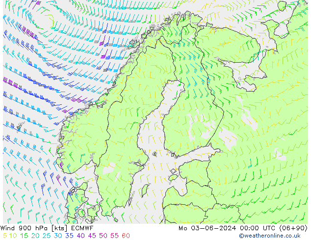 Wind 900 hPa ECMWF Po 03.06.2024 00 UTC
