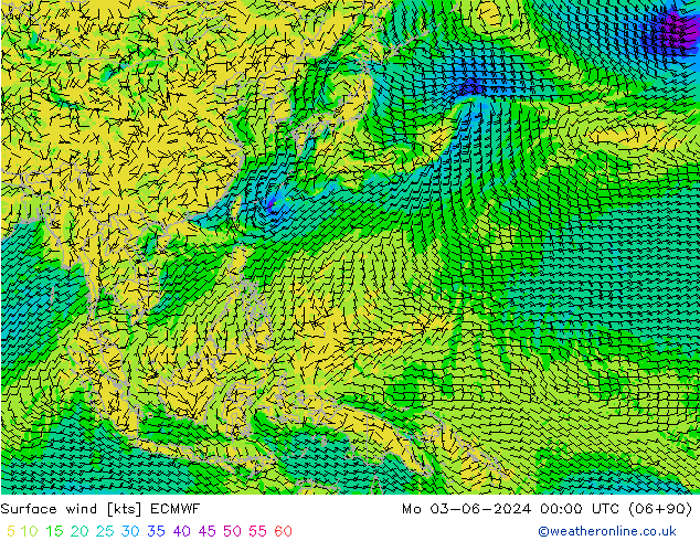 Surface wind ECMWF Po 03.06.2024 00 UTC