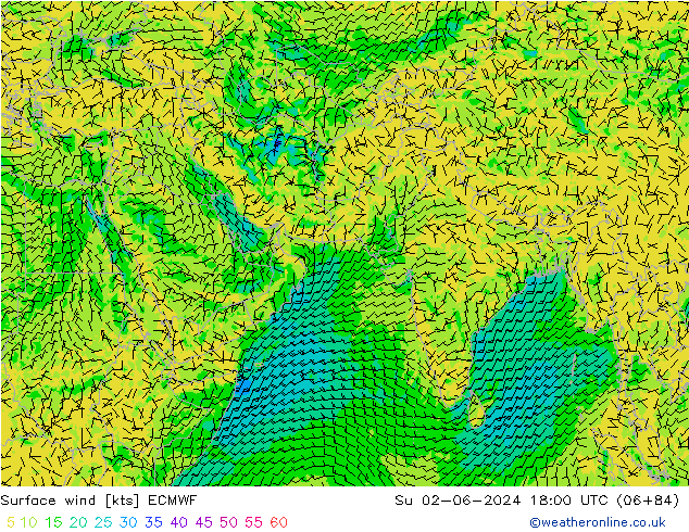 Surface wind ECMWF Su 02.06.2024 18 UTC