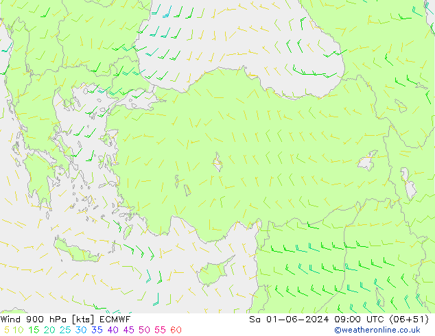 Wind 900 hPa ECMWF So 01.06.2024 09 UTC