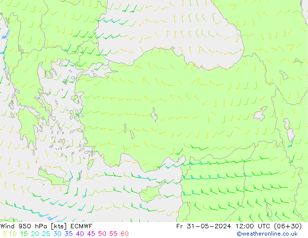 Rüzgar 950 hPa ECMWF Cu 31.05.2024 12 UTC