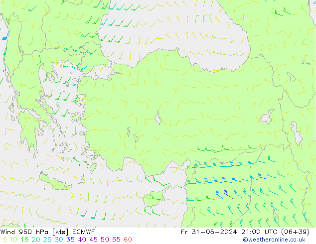 Rüzgar 950 hPa ECMWF Cu 31.05.2024 21 UTC