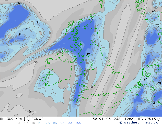 RV 300 hPa ECMWF za 01.06.2024 12 UTC