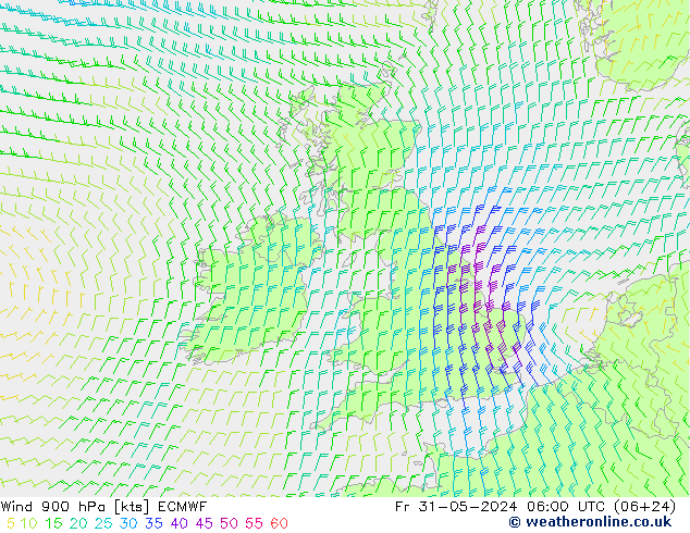 ветер 900 гПа ECMWF пт 31.05.2024 06 UTC