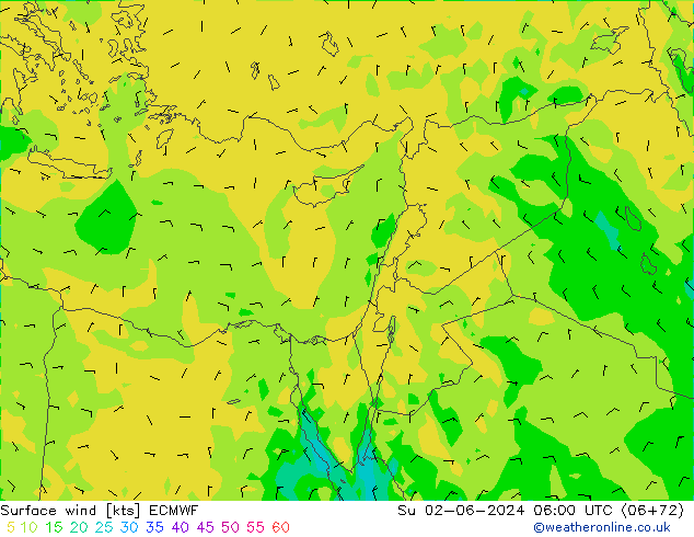 Surface wind ECMWF Su 02.06.2024 06 UTC