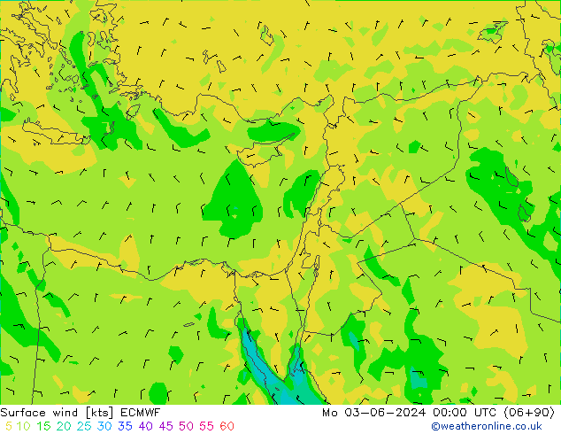 Surface wind ECMWF Mo 03.06.2024 00 UTC