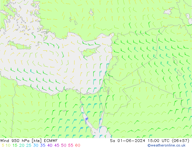 Wind 950 hPa ECMWF Sa 01.06.2024 15 UTC