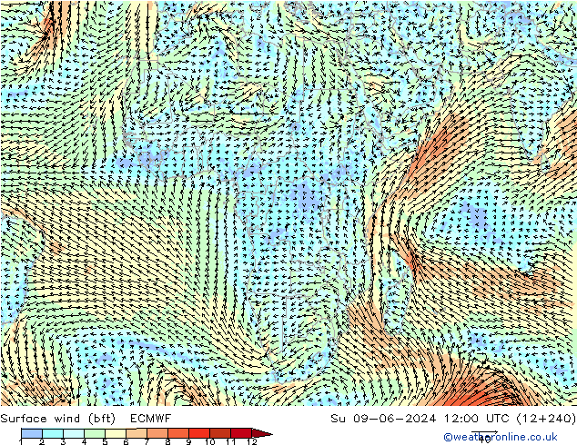 Rüzgar 10 m (bft) ECMWF Paz 09.06.2024 12 UTC