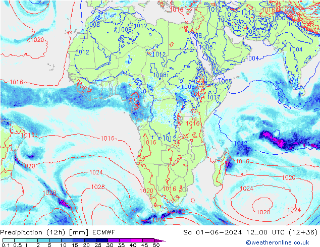 Yağış (12h) ECMWF Cts 01.06.2024 00 UTC