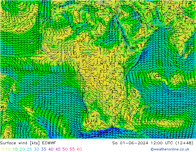 Surface wind ECMWF Sa 01.06.2024 12 UTC