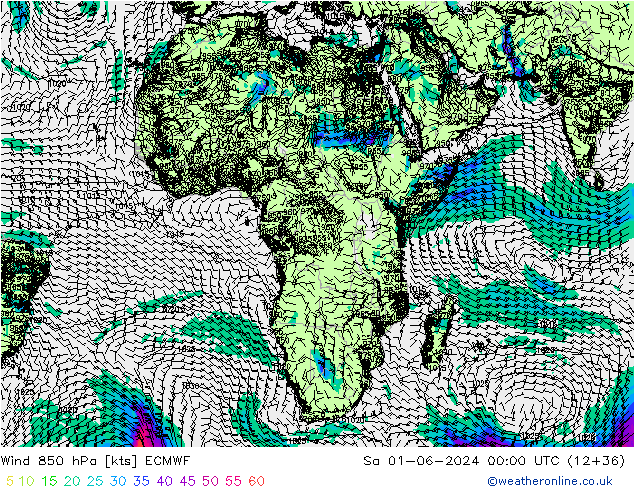 Wind 850 hPa ECMWF Sa 01.06.2024 00 UTC