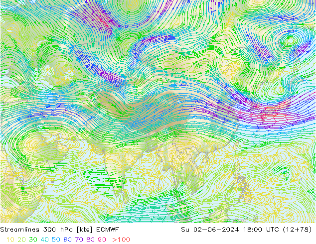 Stroomlijn 300 hPa ECMWF zo 02.06.2024 18 UTC