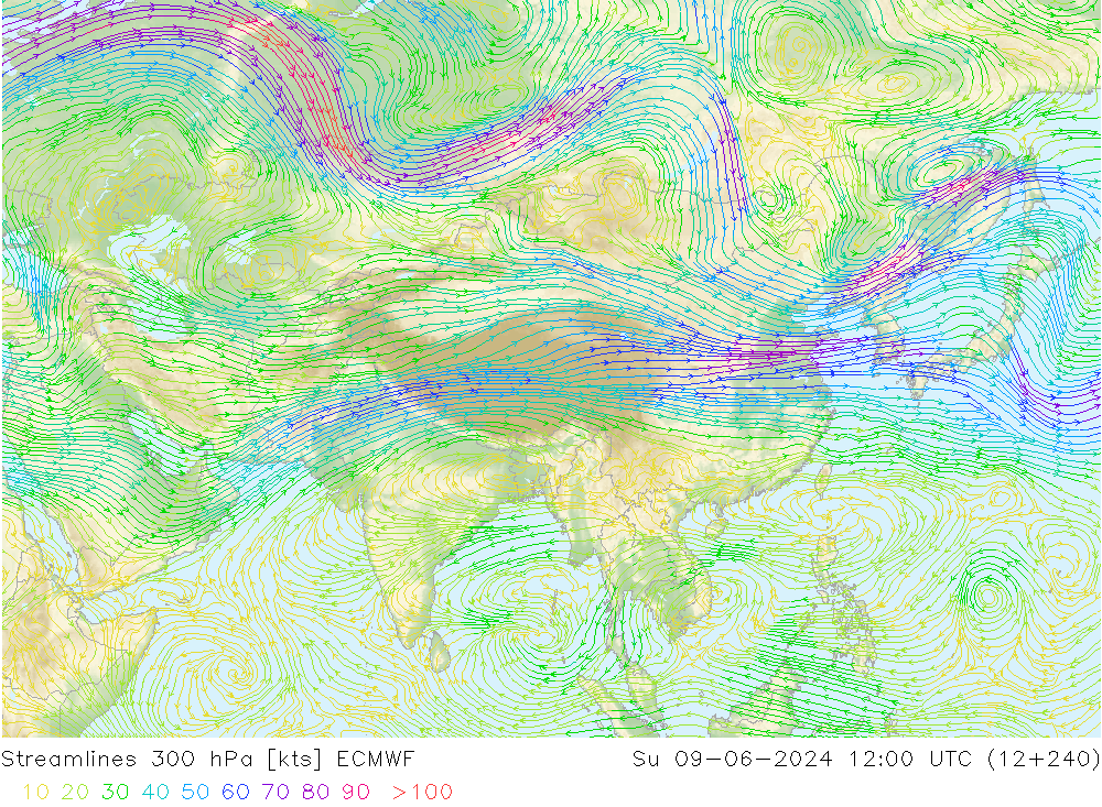 Línea de corriente 300 hPa ECMWF dom 09.06.2024 12 UTC