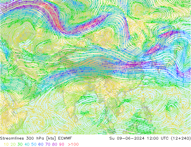 Línea de corriente 300 hPa ECMWF dom 09.06.2024 12 UTC