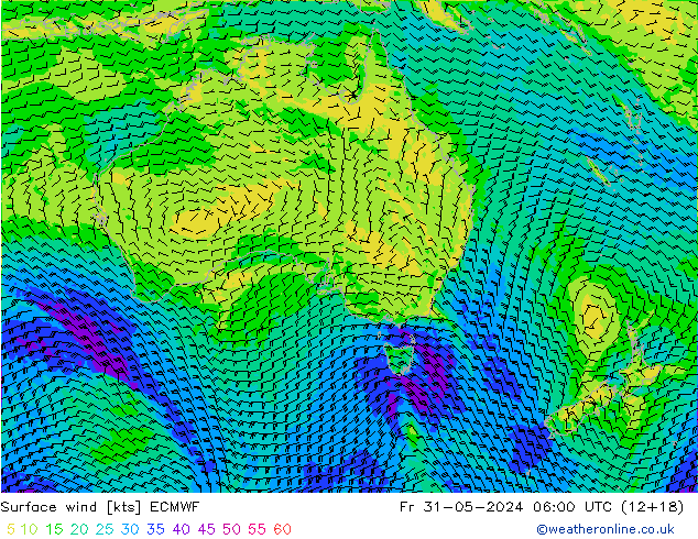  10 m ECMWF  31.05.2024 06 UTC