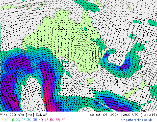 Wind 900 hPa ECMWF Sa 08.06.2024 12 UTC