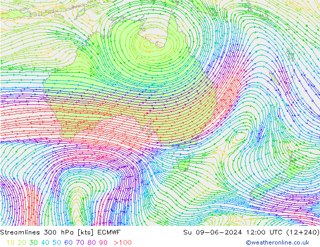  300 hPa ECMWF  09.06.2024 12 UTC
