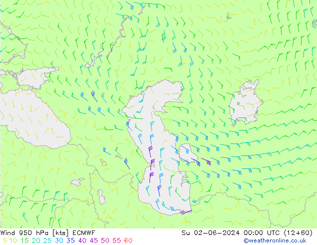 Wind 950 hPa ECMWF zo 02.06.2024 00 UTC