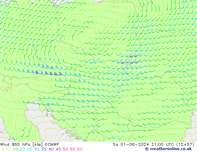 Wind 850 hPa ECMWF za 01.06.2024 21 UTC