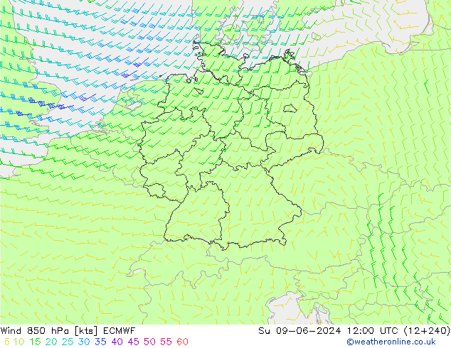 Wind 850 hPa ECMWF Su 09.06.2024 12 UTC