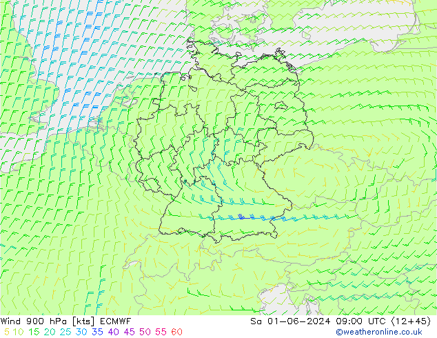 Vento 900 hPa ECMWF Sáb 01.06.2024 09 UTC