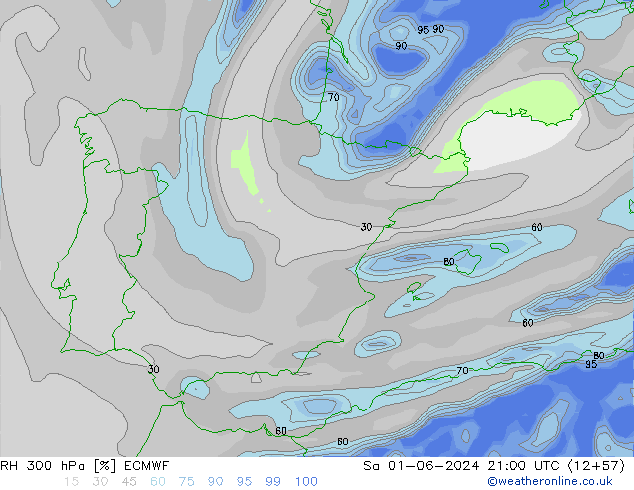 Humidité rel. 300 hPa ECMWF sam 01.06.2024 21 UTC
