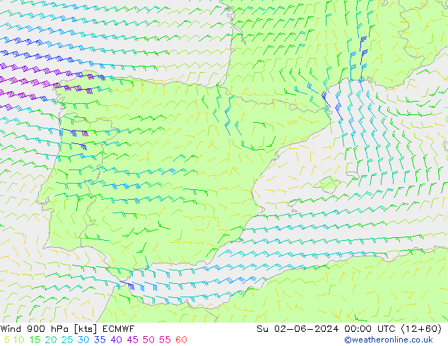 Vento 900 hPa ECMWF Dom 02.06.2024 00 UTC