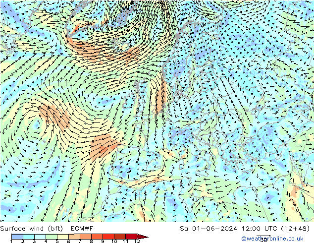 Viento 10 m (bft) ECMWF sáb 01.06.2024 12 UTC