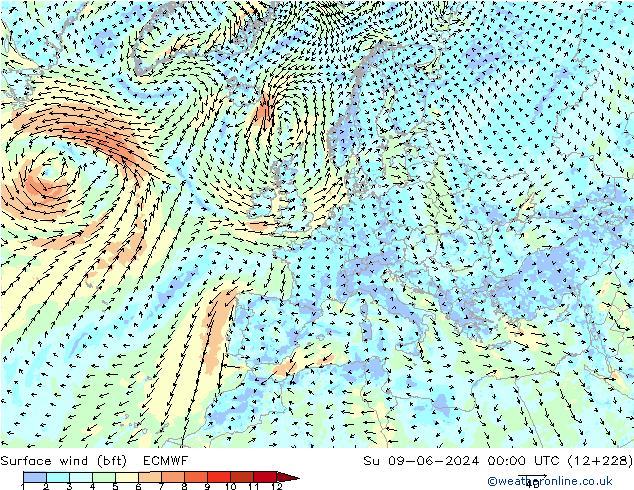 Rüzgar 10 m (bft) ECMWF Paz 09.06.2024 00 UTC