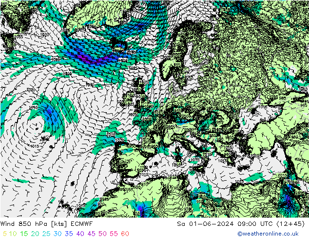 Wind 850 hPa ECMWF Sa 01.06.2024 09 UTC