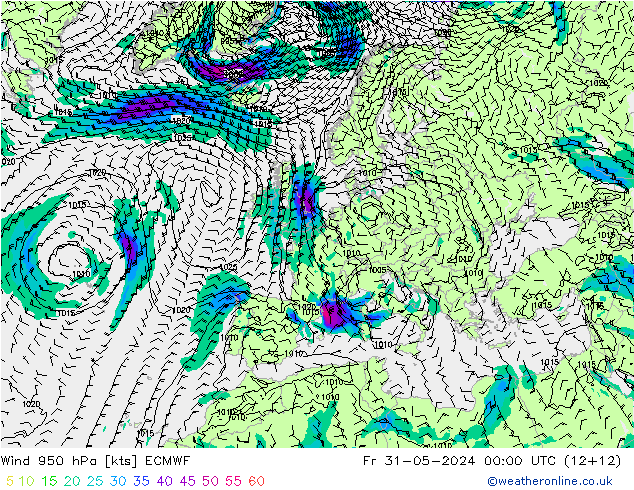 Wind 950 hPa ECMWF Fr 31.05.2024 00 UTC