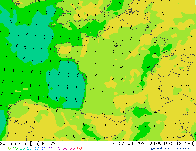 ветер 10 m ECMWF пт 07.06.2024 06 UTC