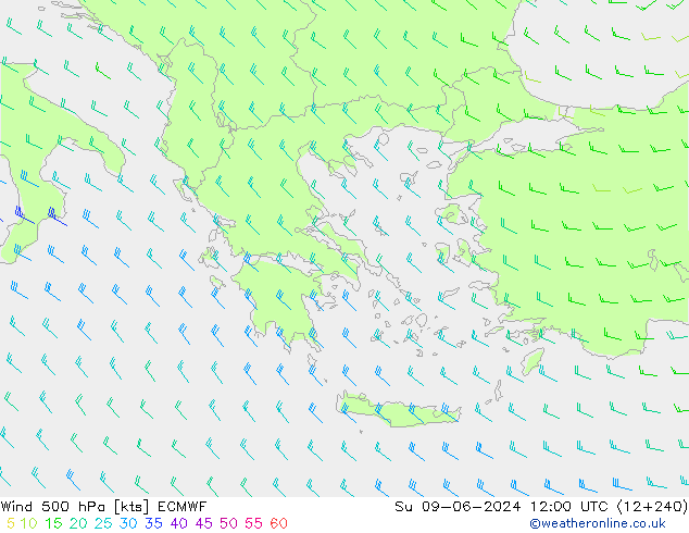 Vento 500 hPa ECMWF Dom 09.06.2024 12 UTC