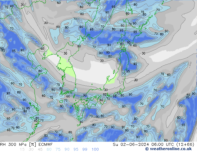 RH 300 hPa ECMWF So 02.06.2024 06 UTC