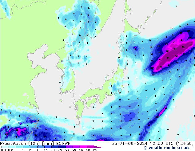 Precipitation (12h) ECMWF Sa 01.06.2024 00 UTC