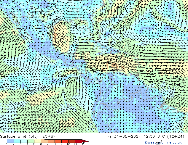 Wind 10 m (bft) ECMWF vr 31.05.2024 12 UTC