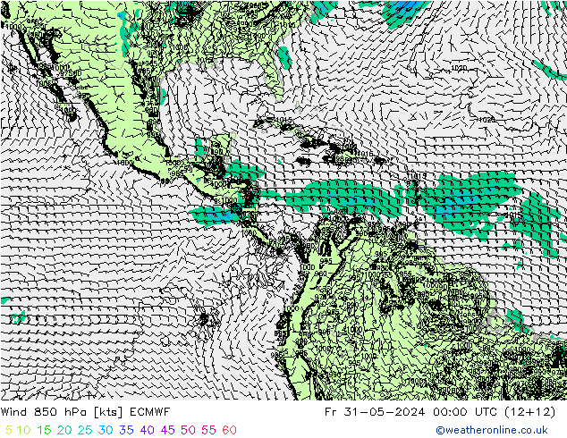  Cu 31.05.2024 00 UTC